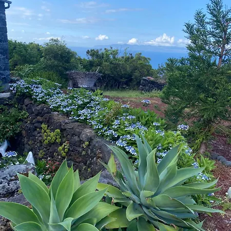 Waka Sun Set Pico Azores ホリデーパーク São Roque do Pico