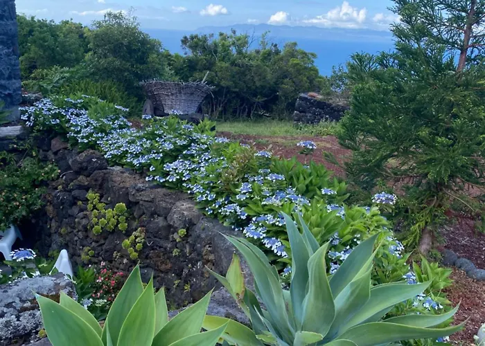 Waka Sun Set Pico Azores Semesterpark São Roque do Pico